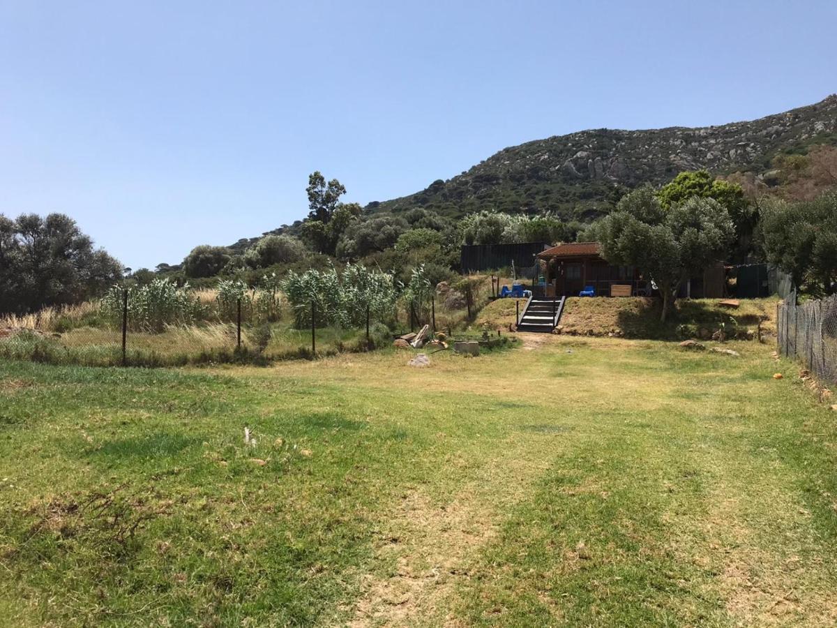 Rustic Cabin Tarifa 4 Guests 10 Minutes To Beach Exterior photo
