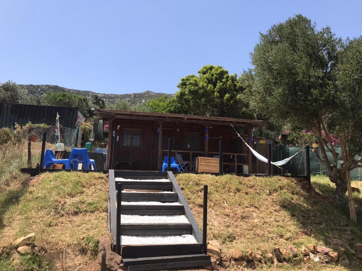 Rustic Cabin Tarifa 4 Guests 10 Minutes To Beach Exterior photo