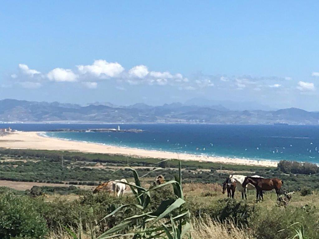 Rustic Cabin Tarifa 4 Guests 10 Minutes To Beach Exterior photo