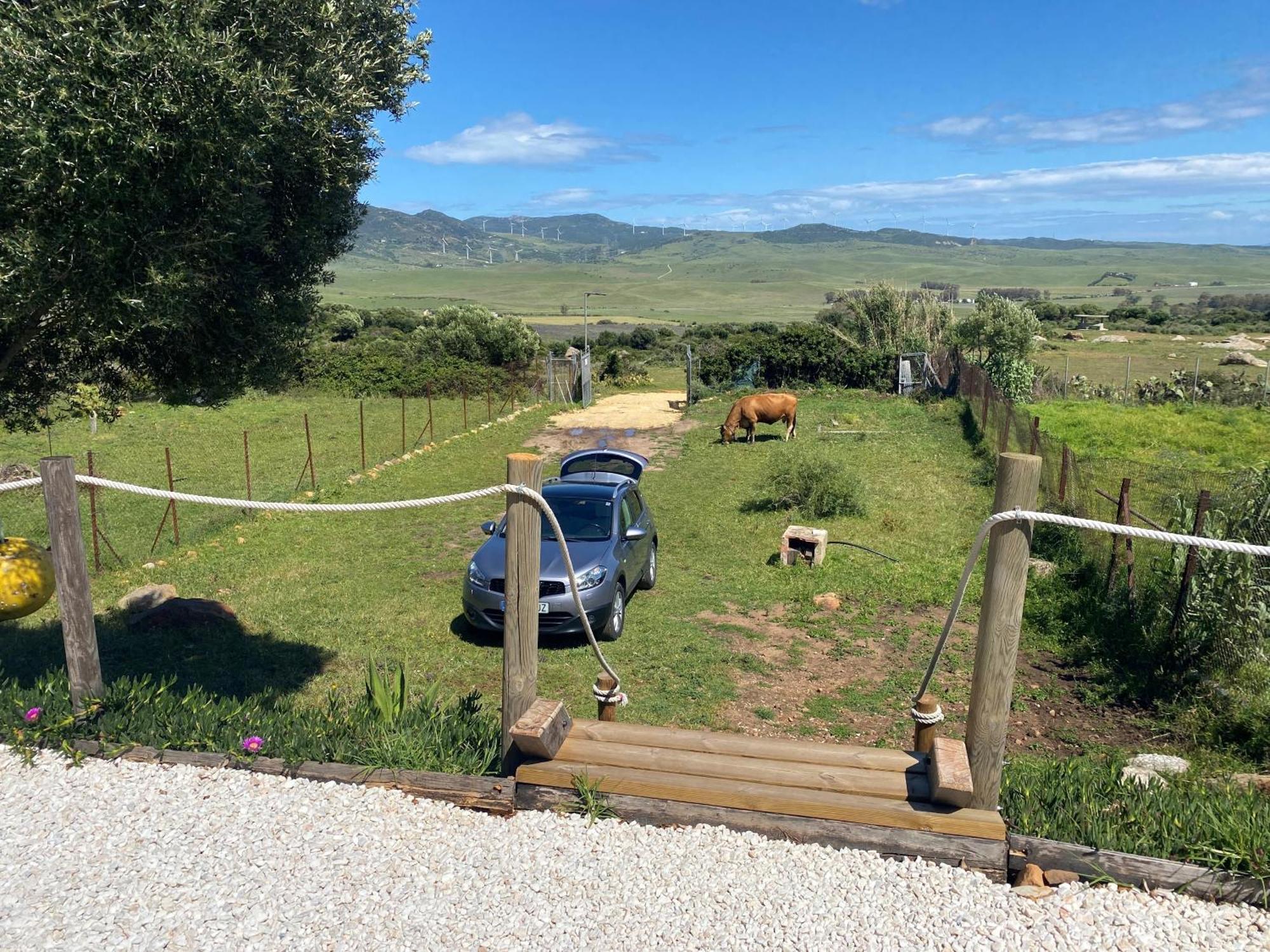 Rustic Cabin Tarifa 4 Guests 10 Minutes To Beach Exterior photo